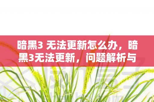 暗黑3 无法更新怎么办，暗黑3无法更新，问题解析与解决方案