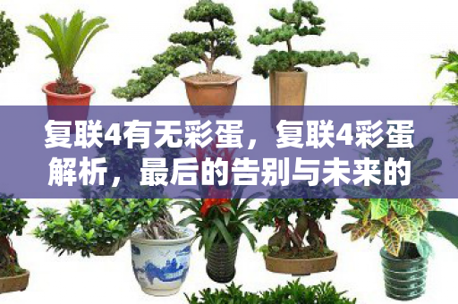 最后的告别与未来的希望图片