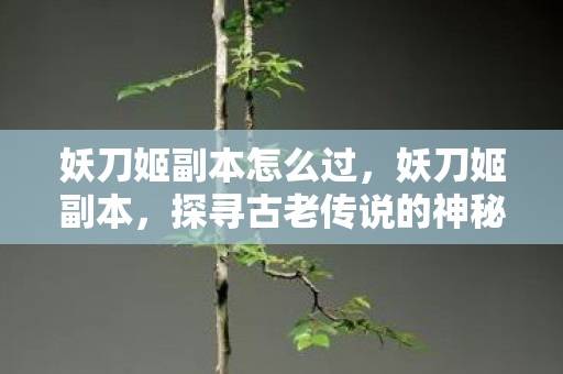 探寻古老传说的神秘之旅图片