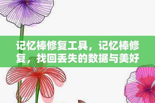 找回丢失的数据与美好回忆图片