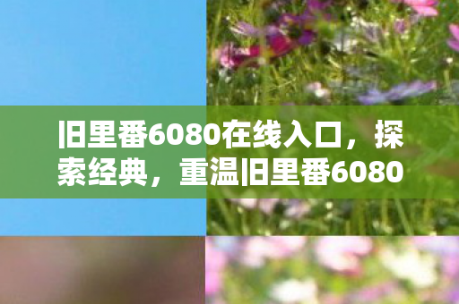 重温旧里番60803D的怀旧之旅图片