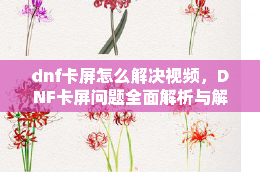 DNF卡屏问题全面解析与解决策略图片