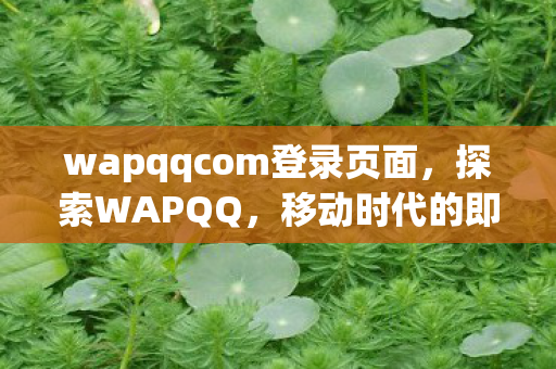 wapqqcom登录页面图片