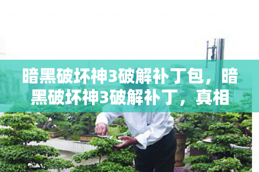 暗黑破坏神3破解补丁包，暗黑破坏神3破解补丁，真相、风险与选择