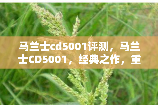 马兰士cd5001评测图片