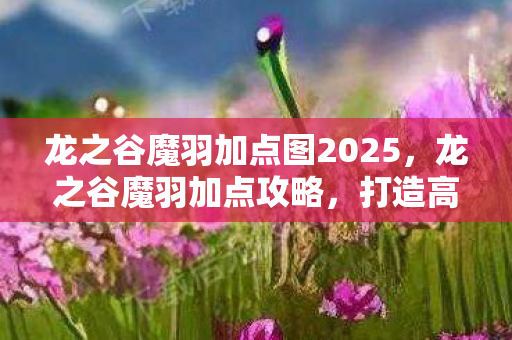 龙之谷魔羽加点图2025图片