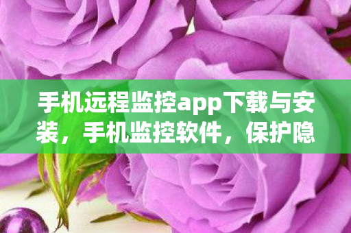 手机远程监控app下载与安装图片
