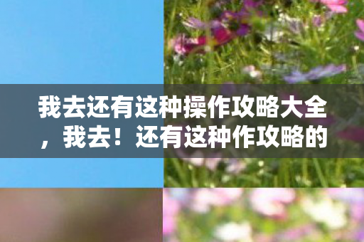 我去还有这种操作攻略大全图片