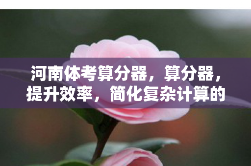 简化复杂计算的利器图片