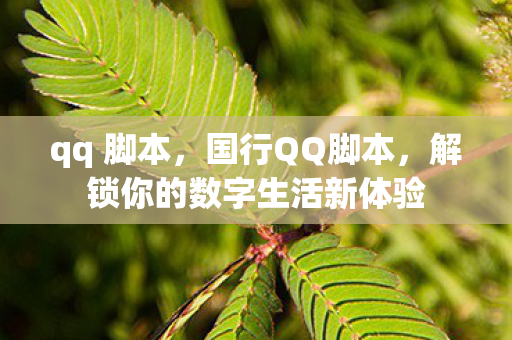 解锁你的数字生活新体验图片