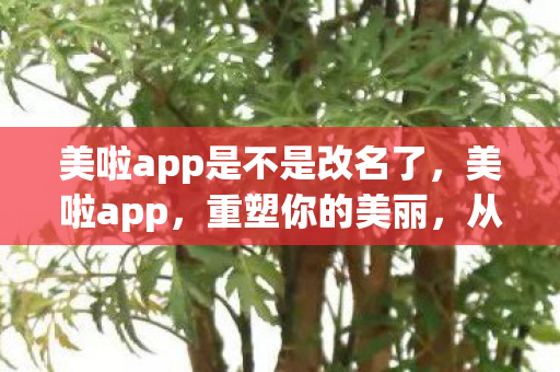 美啦app是不是改名了图片