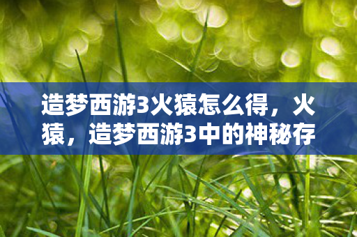 造梦西游3中的神秘存在图片