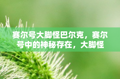 赛尔号大脚怪巴尔克图片