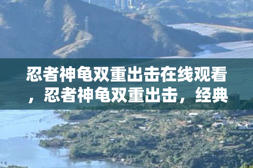 忍者神龟双重出击在线观看图片