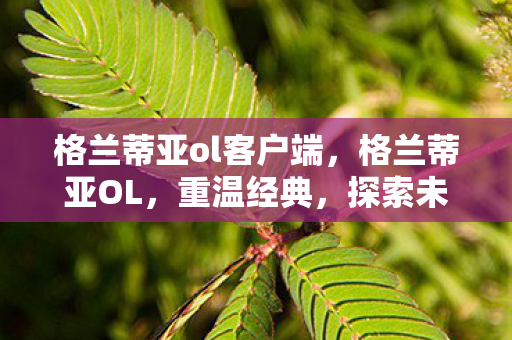 格兰蒂亚ol客户端图片