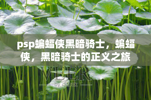 psp蝙蝠侠黑暗骑士图片