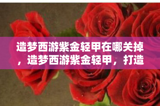 造梦西游紫金轻甲在哪关掉图片