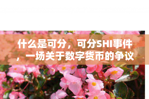 一场关于数字货币的争议与启示图片