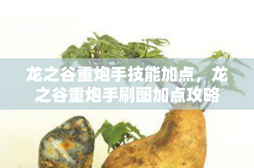 龙之谷重炮手刷图加点攻略图片