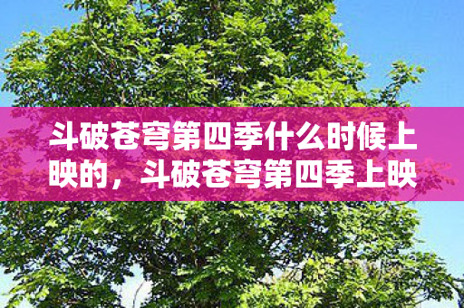 斗破苍穹第四季什么时候上映的图片