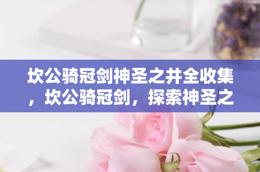 坎公骑冠剑神圣之井全收集图片