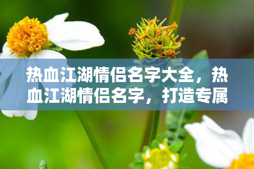 热血江湖情侣名字大全图片