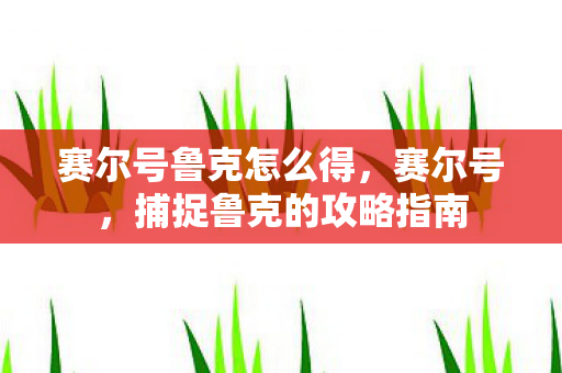 捕捉鲁克的攻略指南图片
