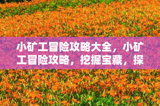 小矿工冒险攻略大全图片