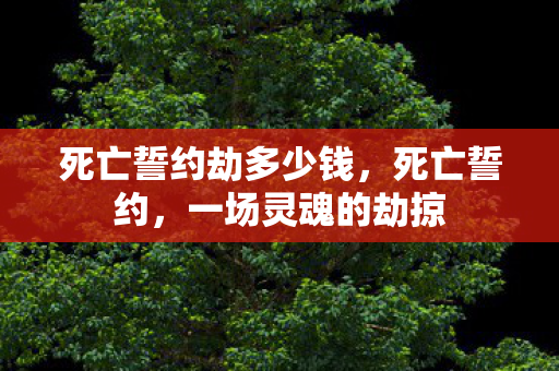 死亡誓约劫多少钱图片