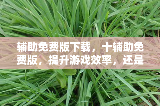 还是侵犯游戏平衡图片