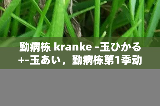 勤病栋第1季动画制作公开图片