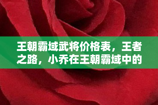 小乔在王朝霸域中的传奇故事图片