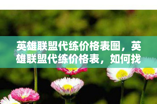 如何找到性价比最高的服务图片