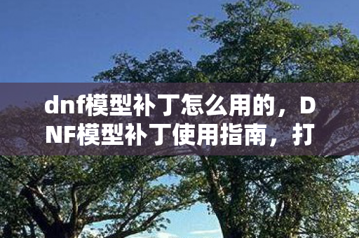 dnf模型补丁怎么用的图片