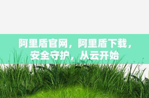 阿里盾官网图片