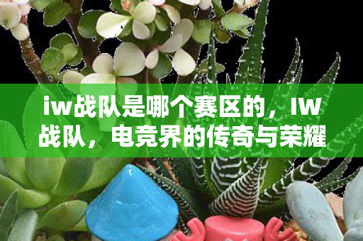iw战队是哪个赛区的图片