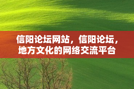 地方文化的网络交流平台图片