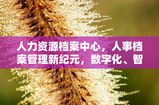 人事档案管理新纪元图片
