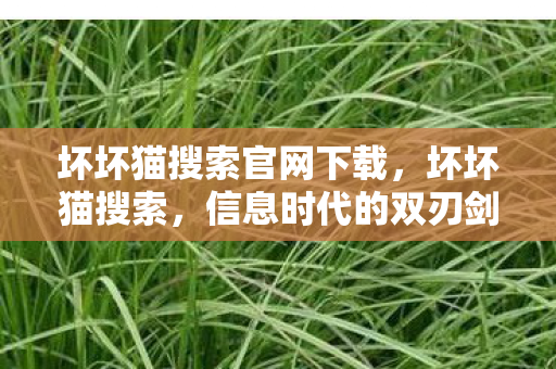 坏坏猫搜索官网下载图片