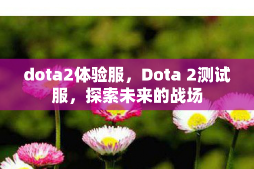Dota 2测试服图片