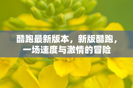 一场速度与激情的冒险图片