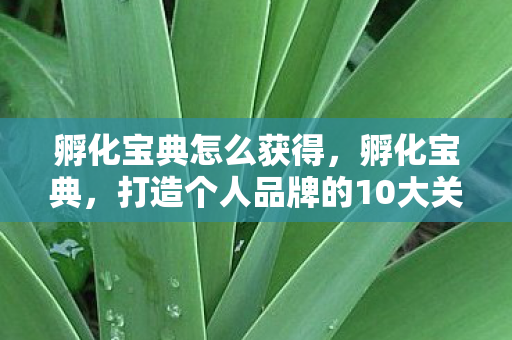 打造个人品牌的10大关键步骤图片