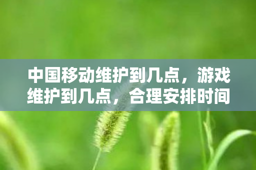 中国移动维护到几点图片