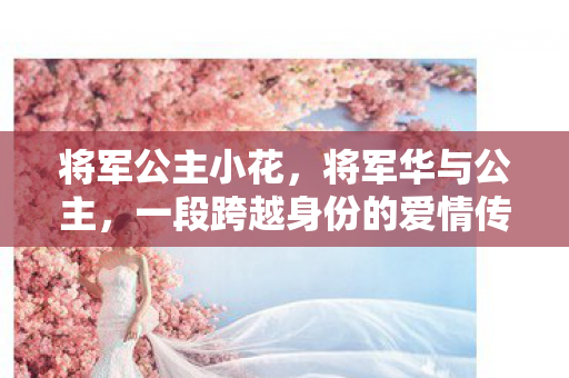 一段跨越身份的爱情传奇图片