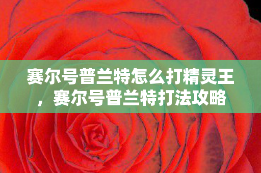 赛尔号普兰特怎么打精灵王图片