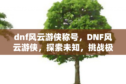 dnf风云游侠称号图片