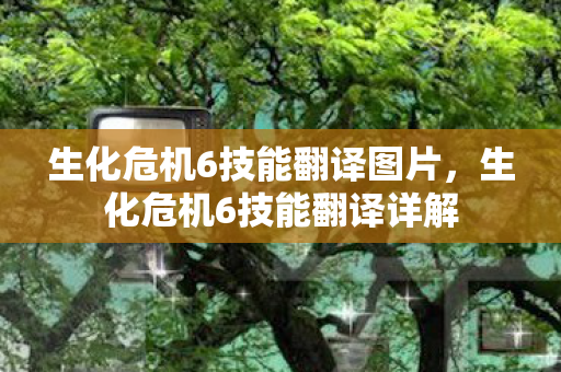 生化危机6技能翻译图片图片