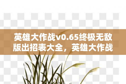 65终极无敌版出招表大全图片