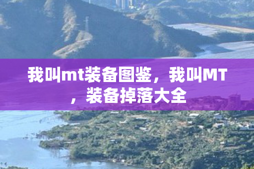 我叫mt装备图鉴图片