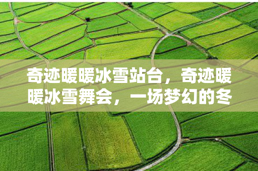 一场梦幻的冬日盛宴图片